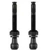 Schwalbe Tubeless SCV valve set 2pcs 60 mm