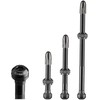 Schwalbe Tubeless valve 80 mm set of 2