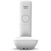 Gigaset E390