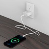 Skross Power Charger US/Japan mfl. 1x