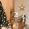 Solight LED sienų dekoravimo puansetija, 24x LED, 2x AA