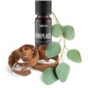 Drėkintuvas Stadler Form Essential Oil FIREPLACE - 10 ml