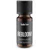 Drėkintuvas Stadler Form Essential Oil REBLOOM - 10 ml