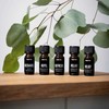 Drėkintuvas STADLER FORM eterinis aliejus Refresh, 10 ml
