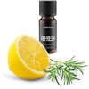 Drėkintuvas STADLER FORM eterinis aliejus Refresh, 10 ml
