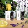 Drėkintuvas Stadler Form LEMON Essential Oil - 10 ml