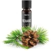 Drėkintuvas Stadler Form RECHARGE Essential Oil - 10 ml