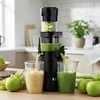 Sulčiaspaudė TESLA Slowjuicer SJ500 XL juoda