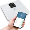 EVO Salente BodyFit, išmaniosios asmeninės diagnostinės fitneso svarstyklės, Bluetooth, baltos (BODYFIT-WH)