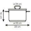 PLIENINIS PUODAS SU DANGIU PROFI TESCOMA 24cm 7l