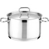 PLIENINIS PUODAS SU DANGIU PROFI TESCOMA 24cm 7l