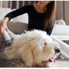 Dulkių siurblys Tesla Rinkinys do pielęgnacji zwierząt PetCare Station TQ500 Pro