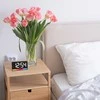 TFA 60.2051.01 - digital alarm clock with colour illumination