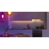 TP-Link Tapo L430C išmanioji WiFi reguliuojamo ryškumo LED lemputė (spalvota, 2500K-6500K, 470lm, 2.4GHz, E14)
