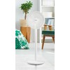 Ventiliatorius DOMO DO8156 Stand fan 2in1 30 cm