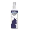 VICTORIA Whiteboard Cleaning Purškiklis, 250 ml