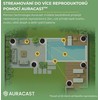 Victrola Zen pilkas