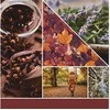 Yankee Candle Aromatinė žvakė Signature glass medium Autumn Daydream 368 g