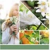 Yankee Candle Aromatinė žvakė Signature glass medium Baltas Gardenia 368 g