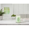 Yankee Candle Aromatinė žvakė "Signature", didelė stiklinė "Cucumber Mint Cooler" 567 g
