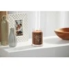 Yankee Candle Aromatinė žvakė Signature didelis stiklas Praline - Beržas 567 g