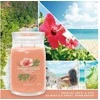 Yankee Candle Aromatinė žvakė Signature glass medium Tropica l Breeze 368 g