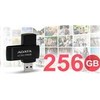 USB laikmena ADATA UC310, 256 GB