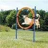 TRIXIE Agility žiedas, 115x3 cm, plastikas, 3208