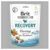 Brit Care Dog Recovery&amp;Herring - skanėstas šunims - 150 g