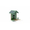 Camouflage Gamtos kamera EZ Birdfeed 1