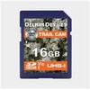 Atminties kortelė Delkin SDHC Trail Cam R100/W30 (V10) 16GB