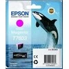 Epson T7603 | Rašalo kasetė | Magenta