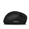 Pelė Evolveo LadyErgo, cicha wertykalna ergonomiczna pelė, 2.4GHz, juoda