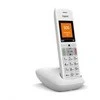 Gigaset E390