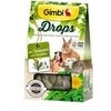 Gimborn GIMBI DROPS graužikams su kiaulpiene 50g