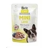 Brit_Care Šlapias šunų maistas Brit Care Mini ėriena 0.085 kg