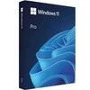 Microsoft Windows Pro 11 64 bitų Slovakijos USB