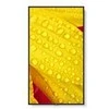 Monitorius Sharp ME432 43IN LFD UHD 400CD/QM - 18/7 SOC ANDROID 13 OS D-LED