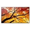 Monitorius Sharp M502 50 colių LFD UHD 550CD/M2 D-L - FONINIS APŠVIETIMAS, 24/7 ĮSPĖJIMAS, SDM LIZDAS, CM