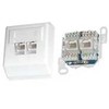 Oem Profi UTP lizdas 2x RJ45 Cat5E, krona, ant gipso