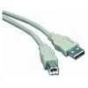 Efb Elektronik USB kabelis EFB USB-A - USB-B 1 m Pilkas (K5255.1)