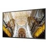Monitorius Samsung QE43T LH43QETELGCX