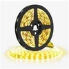 Solight LED šviesos juosta 5m, 120LED/m, 10W/m, 1100lm/m, IP20, šilta balta
