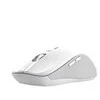 Trust 25674 pelė Universal Ambidextrous Bluetooth 3200 DPI