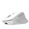 Trust NIVEN COMFORT MULTI - belaidė Pelė WHT