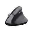 Kompiuterio pelė TRUST BAYO II ERGONOMIC, USB TYPE-C