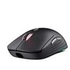 Pelė žaidimams TRUST GXT 115 MACCI, USB 2.0, juodos spalvos