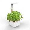 Véritable Botaneo - Automatinis gėlių vazonas + 2 žolelių papildymai