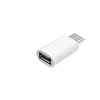Winner Group WG - Micro USB (lizdas) į Type-C (vyras) adapteris, baltas