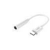 Winner Group WG - C tipo adapteris + 3,5 mm lizdas / DAC lustas / baltas